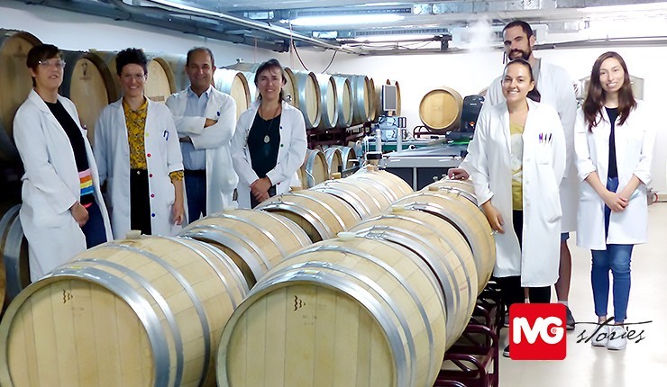 UVaMOX, Valladolid University: the hidden micro-oxygenation of wine