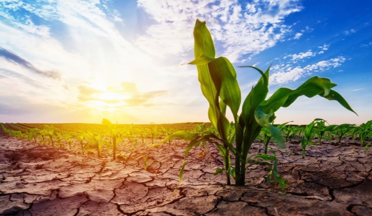 Il settore agricolo richiede buoni alleati