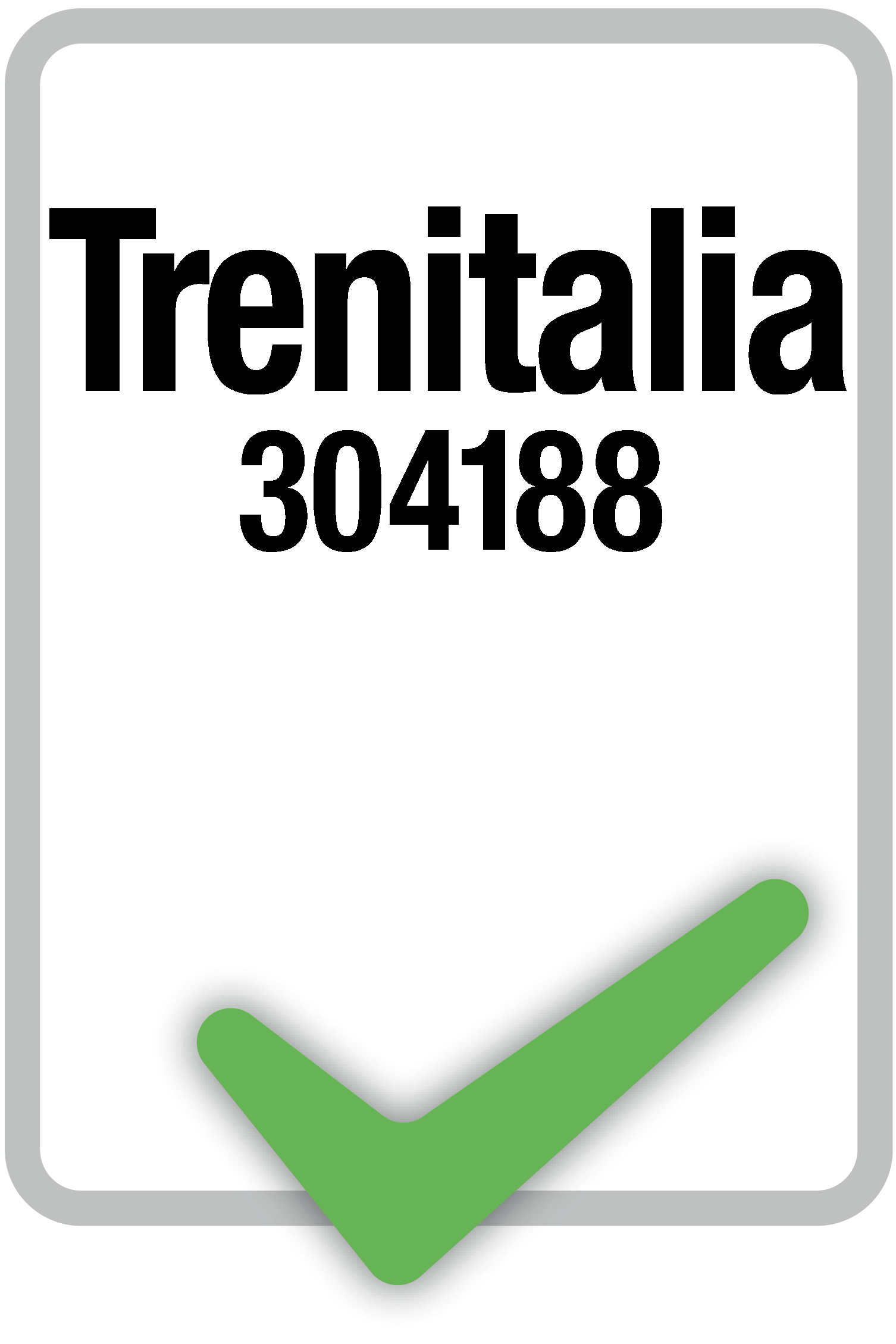 Specifica tecnica Trenitalia n° 304188