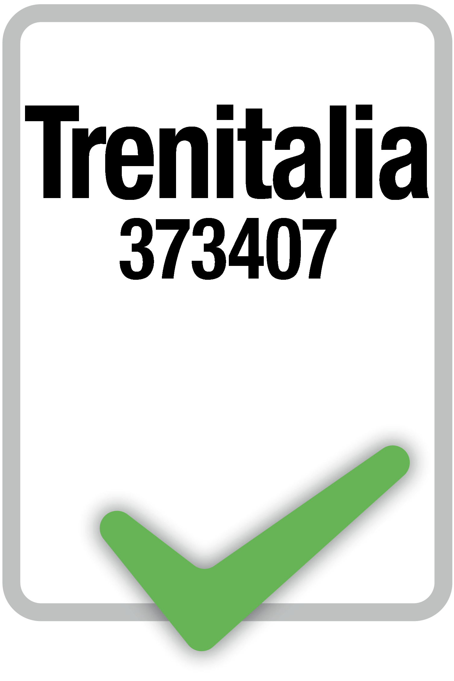 Specifica tecnica Trenitalia n° 373407